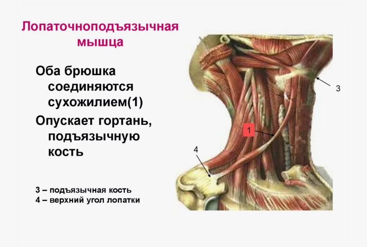 scale_1200 (3).jpg