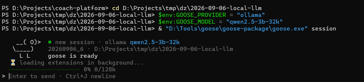 Запуск сессии Goose